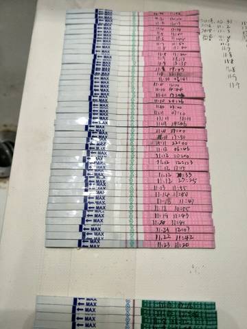 journal_insert_pic_1135088834