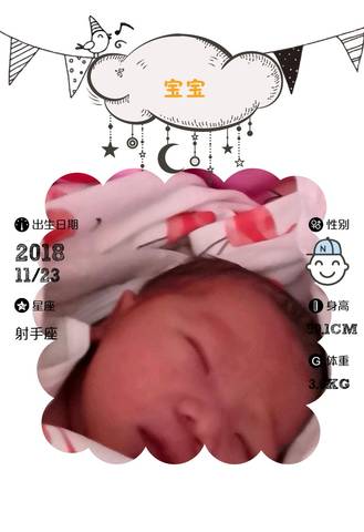 journal_insert_pic_1135629539