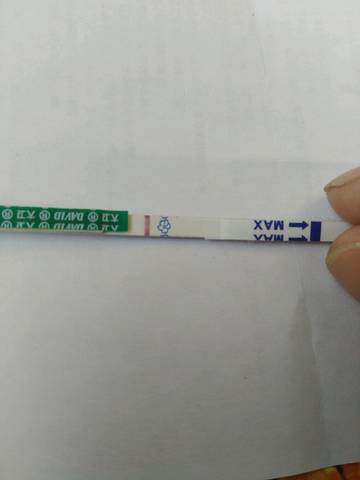 journal_insert_pic_1136307567