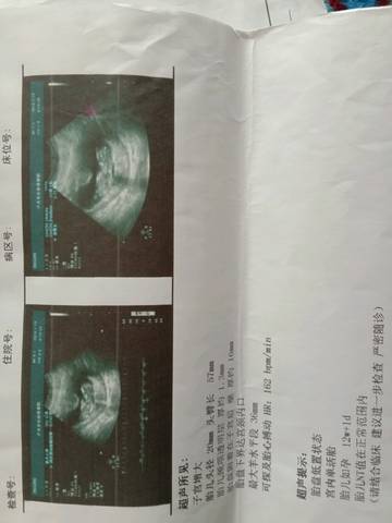 journal_insert_pic_1137316731