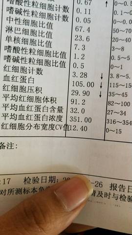 journal_insert_pic_1137559040