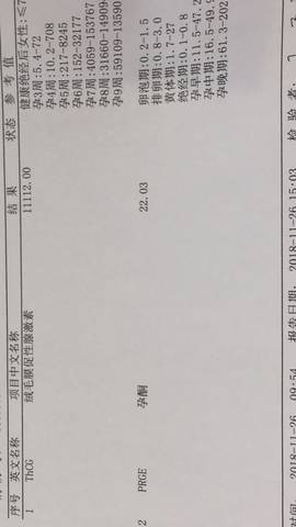 journal_insert_pic_1137639035