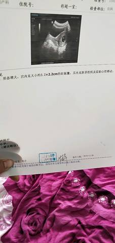 journal_insert_pic_1137377790