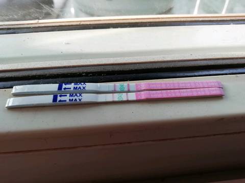 journal_insert_pic_1138248551