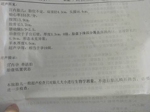 journal_insert_pic_1138300838