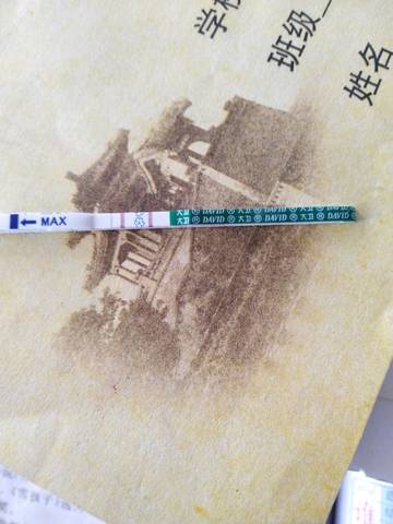 journal_insert_pic_1138075142