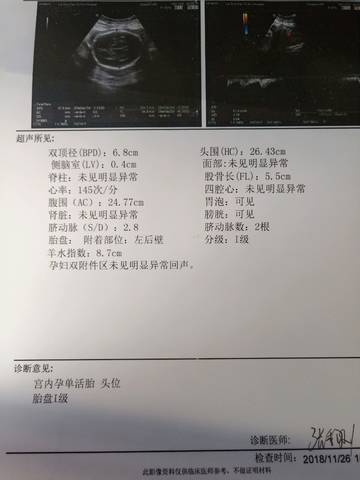 journal_insert_pic_1138679819