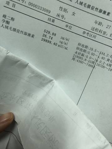 journal_insert_pic_1138963898