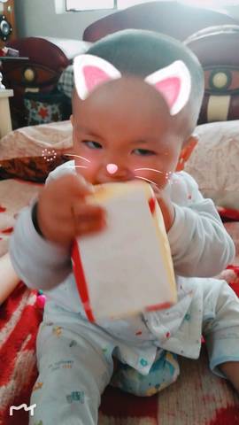 journal_insert_pic_1138717197