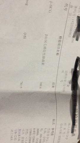 journal_insert_pic_1139409963