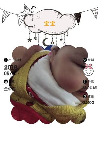 journal_insert_pic_1139931338