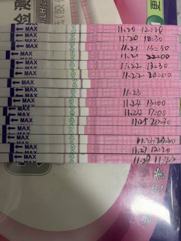journal_insert_pic_1139902374