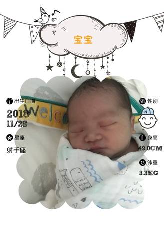 journal_insert_pic_1141155891