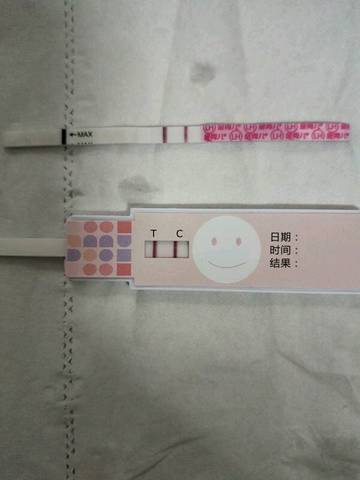 journal_insert_pic_1141483841