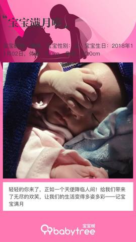 journal_insert_pic_1141277776