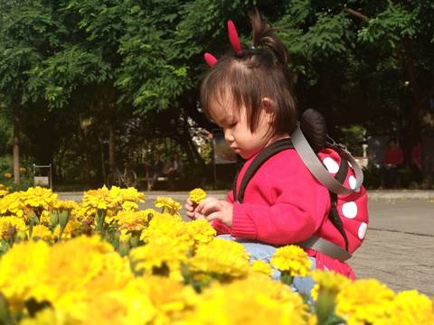 journal_insert_pic_1142733418