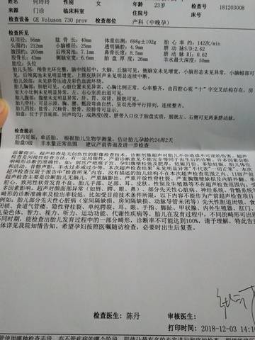 journal_insert_pic_1142669691