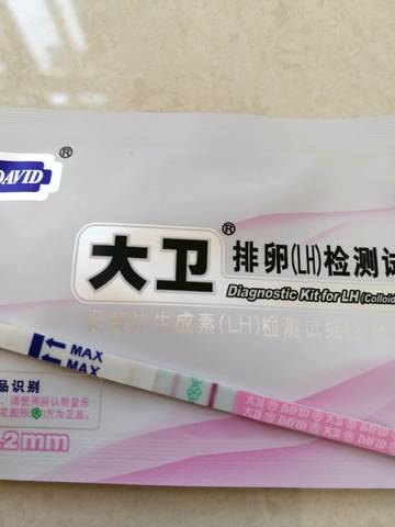 journal_insert_pic_1143043144