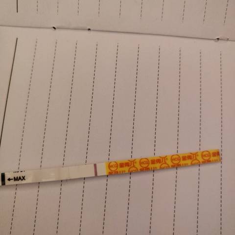 journal_insert_pic_1143110960