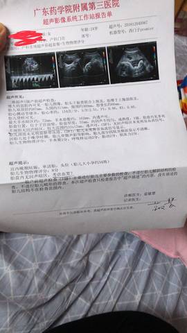 journal_insert_pic_1143802540
