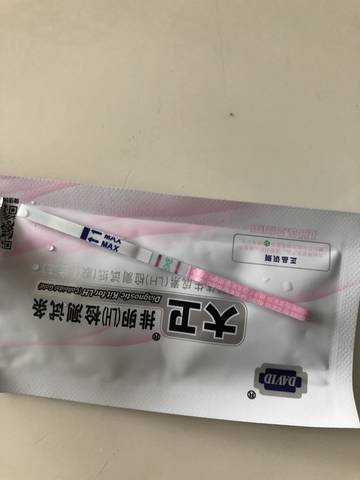 journal_insert_pic_1144372371