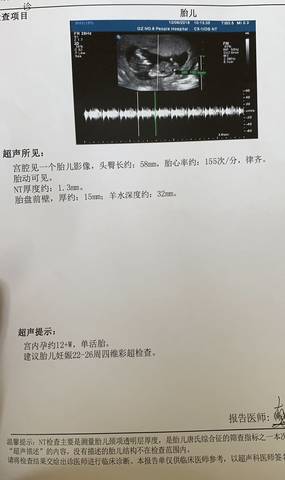 journal_insert_pic_1144276380
