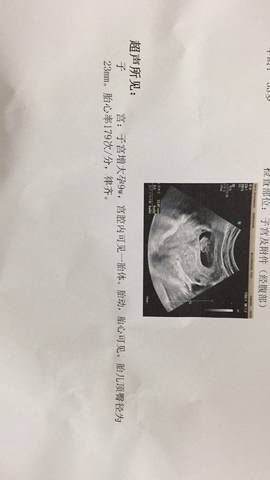 journal_insert_pic_1144372318