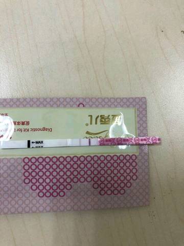 journal_insert_pic_1144451389