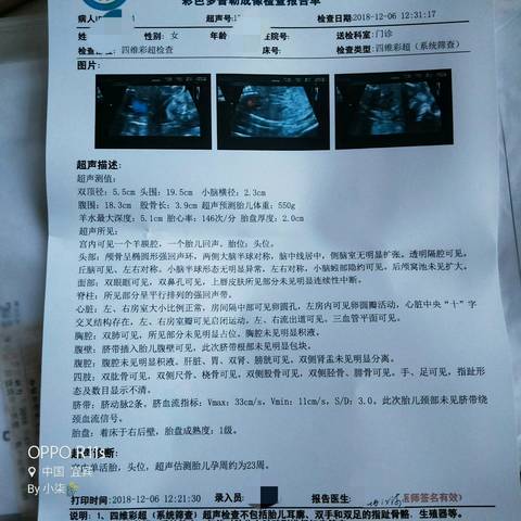 journal_insert_pic_1144361738