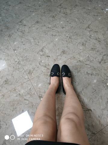 journal_insert_pic_1144181459