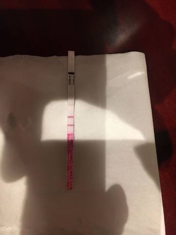 journal_insert_pic_1145041088