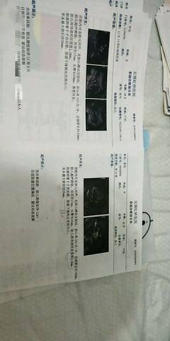 journal_insert_pic_1144700792
