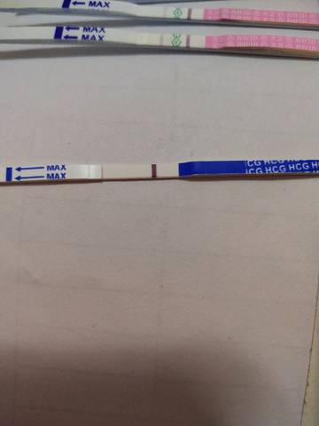 journal_insert_pic_1144674996
