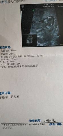 journal_insert_pic_1145229710