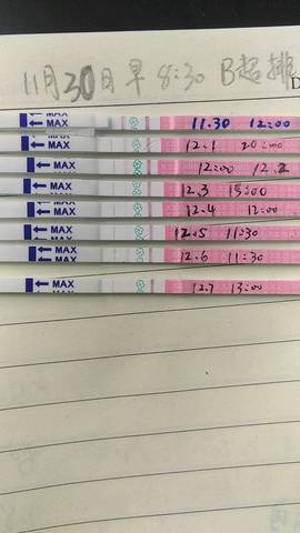 journal_insert_pic_1145348093