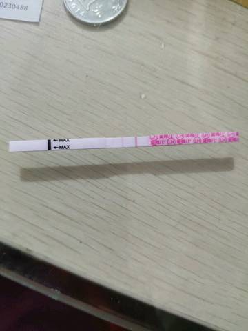 journal_insert_pic_1145736329