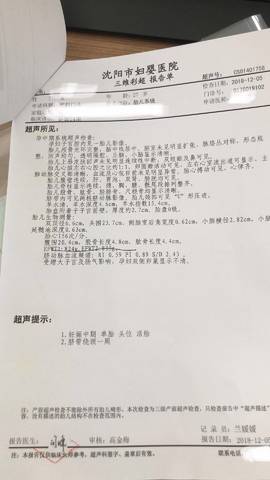 journal_insert_pic_1145985251