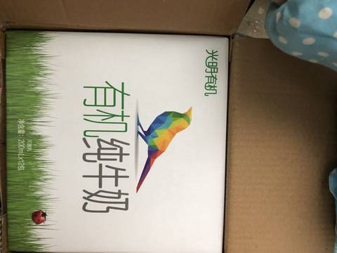 journal_insert_pic_1146241619
