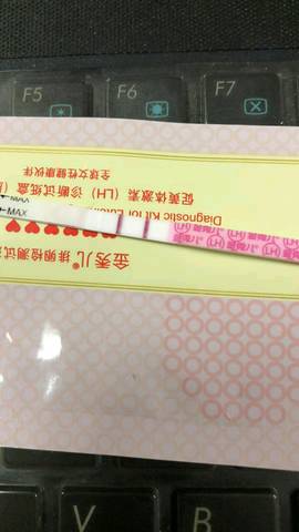 journal_insert_pic_1147032098