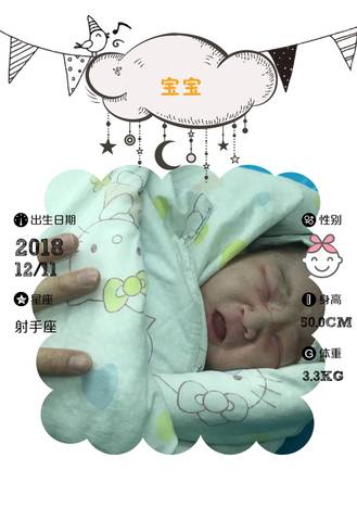 journal_insert_pic_1147015196