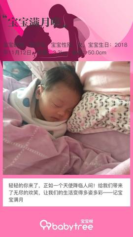 journal_insert_pic_1146696008