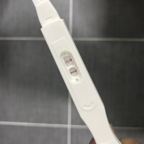 journal_insert_pic_1146829251