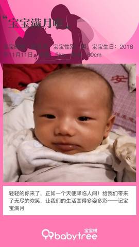 journal_insert_pic_1146859730