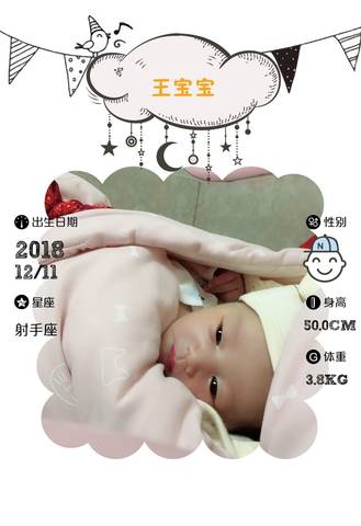 journal_insert_pic_1147125183