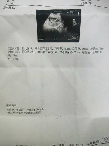journal_insert_pic_1147144807