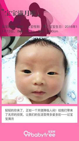 journal_insert_pic_1147703716