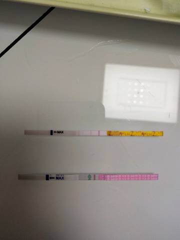 journal_insert_pic_1148087946