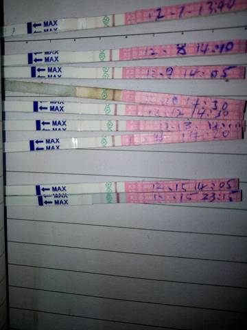 journal_insert_pic_1148918906