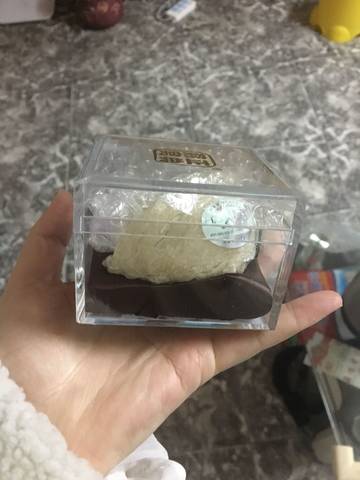 journal_insert_pic_1148820715