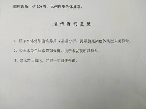 journal_insert_pic_1148617736